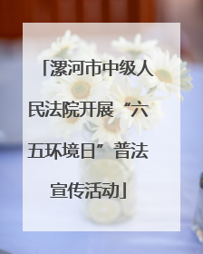 漯河市中级人民法院开展“六五环境日”普法宣传活动