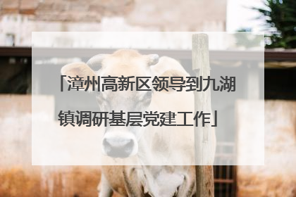 漳州高新区领导到九湖镇调研基层党建工作