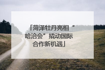 菏泽牡丹亮相“哈洽会”撬动国际合作新机遇