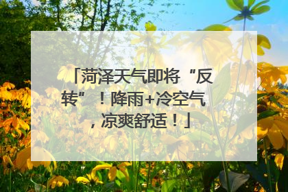 菏泽天气即将“反转”！降雨+冷空气，凉爽舒适！