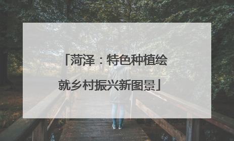 菏泽：特色种植绘就乡村振兴新图景