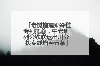 老挝榴莲乘冷链专列抵蓉，中老班列公铁联运出川分拨专线增至五条
