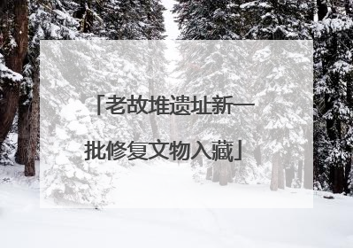 老故堆遗址新一批修复文物入藏