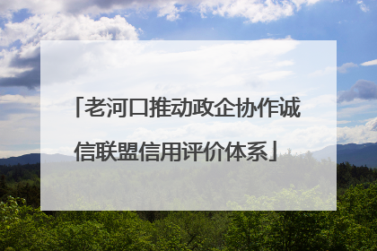 老河口推动政企协作诚信联盟信用评价体系