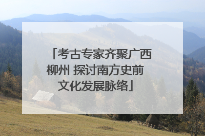 考古专家齐聚广西柳州 探讨南方史前文化发展脉络