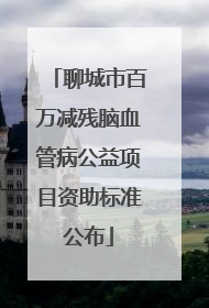 聊城市百万减残脑血管病公益项目资助标准公布
