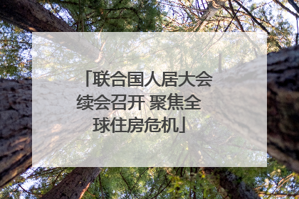 联合国人居大会续会召开 聚焦全球住房危机