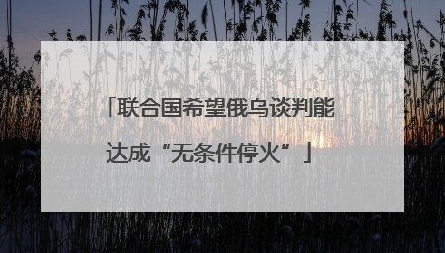 联合国希望俄乌谈判能达成“无条件停火”