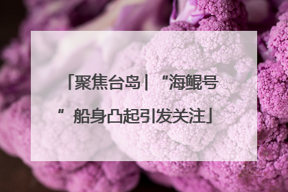 聚焦台岛│“海鲲号”船身凸起引发关注