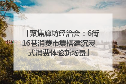 聚焦廊坊经洽会：6街16巷消费市集搭建沉浸式消费体验新场景