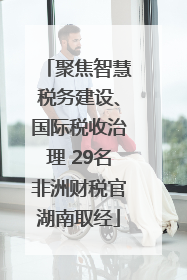 聚焦智慧税务建设、国际税收治理 29名非洲财税官湖南取经
