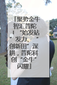 聚势金牛 智汇普陀〡“始发站”发力、“创新田”深耕，普陀科创“金牛”闪耀