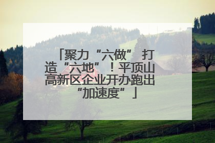 聚力“六做” 打造“六地”！平顶山高新区企业开办跑出“加速度”