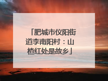 肥城市仪阳街道李南阳村：山楂红处是故乡