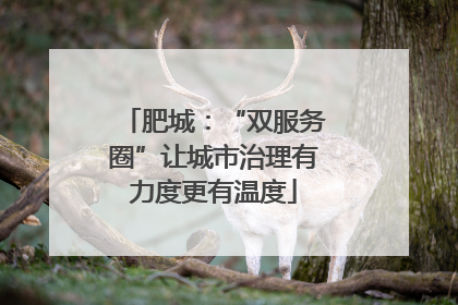 肥城：“双服务圈”让城市治理有力度更有温度