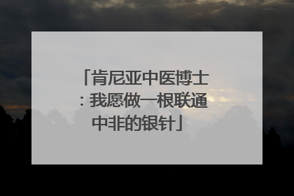 肯尼亚中医博士：我愿做一根联通中非的银针