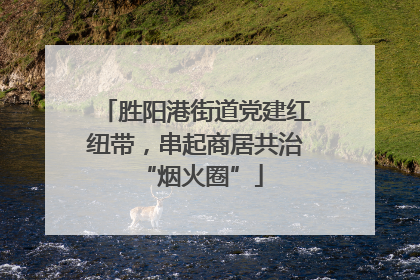 胜阳港街道党建红纽带，串起商居共治 “烟火圈”