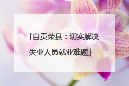 自贡荣县：切实解决失业人员就业难题