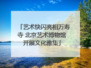 艺术快闪亮相万寿寺 北京艺术博物馆开展文化雅集
