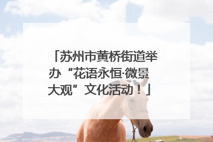苏州市黄桥街道举办“花语永恒·微景大观”文化活动！
