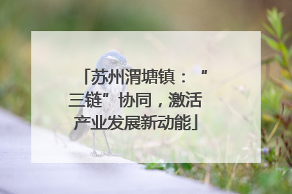 苏州渭塘镇：“三链”协同，激活产业发展新动能