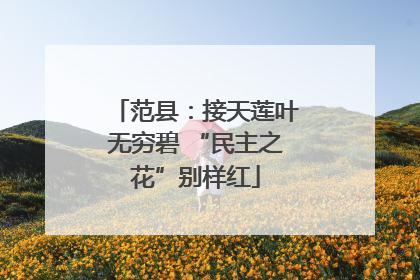范县：接天莲叶无穷碧 “民主之花”别样红