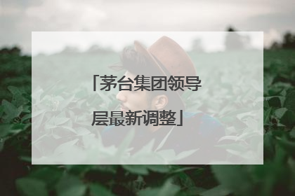 茅台集团领导层最新调整