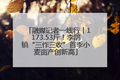融媒记者一线行丨1173.53斤！李鹊镇“三作三收”首季小麦亩产创新高