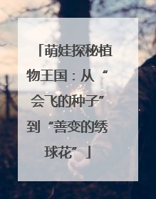 萌娃探秘植物王国：从“会飞的种子”到“善变的绣球花”