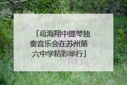 葛海翔中提琴独奏音乐会在苏州第六中学精彩举行