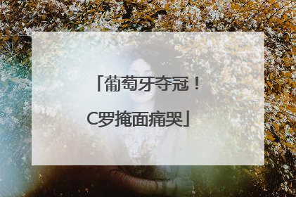 葡萄牙夺冠！C罗掩面痛哭