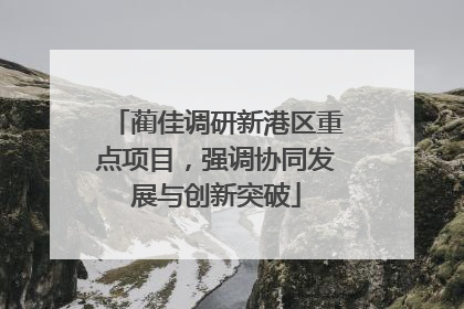 蔺佳调研新港区重点项目，强调协同发展与创新突破