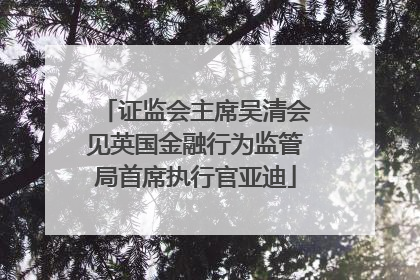 证监会主席吴清会见英国金融行为监管局首席执行官亚迪