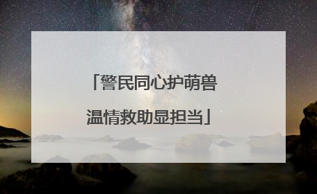 警民同心护萌兽 温情救助显担当
