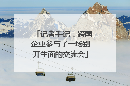 记者手记：跨国企业参与了一场别开生面的交流会