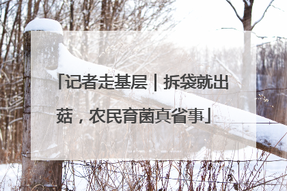 记者走基层｜拆袋就出菇，农民育菌真省事