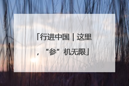 行进中国｜这里，“参”机无限