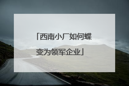西南小厂如何蝶变为领军企业
