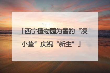 西宁植物园为雪豹“凌小蛰”庆祝“新生”
