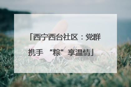 西宁西台社区：党群携手 “粽”享温情