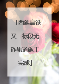 西延高铁又一标段无砟轨道施工完成