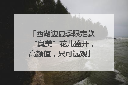 西湖边夏季限定款“臭美”花儿盛开，高颜值，只可远观