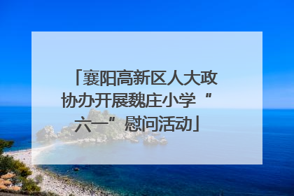 襄阳高新区人大政协办开展魏庄小学“六一”慰问活动