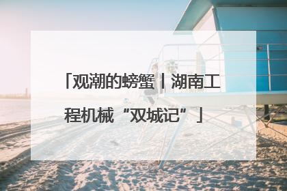 观潮的螃蟹丨湖南工程机械“双城记”