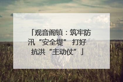 观音阁镇：筑牢防汛“安全堤” 打好抗洪“主动仗”