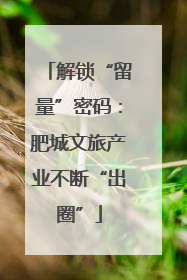 解锁“留量”密码：肥城文旅产业不断“出圈”