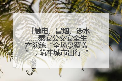 触电、冒烟、涉水……泰安公交安全生产演练“全场景覆盖”，筑牢城市出行“安全生命线”
