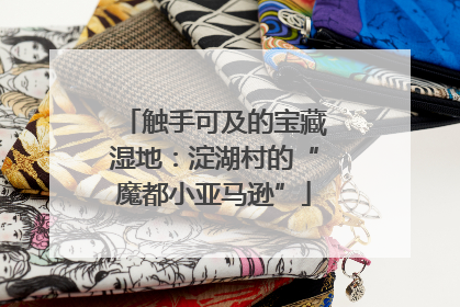 触手可及的宝藏湿地：淀湖村的“魔都小亚马逊”