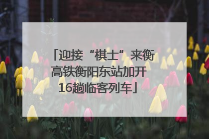 迎接“棋士”来衡 高铁衡阳东站加开16趟临客列车