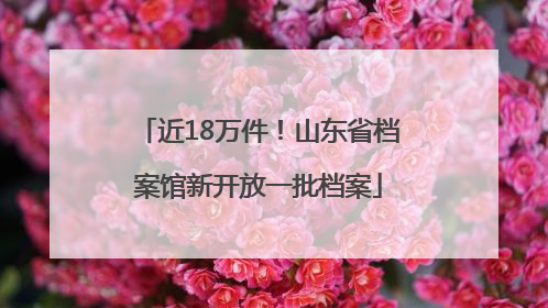 近18万件！山东省档案馆新开放一批档案